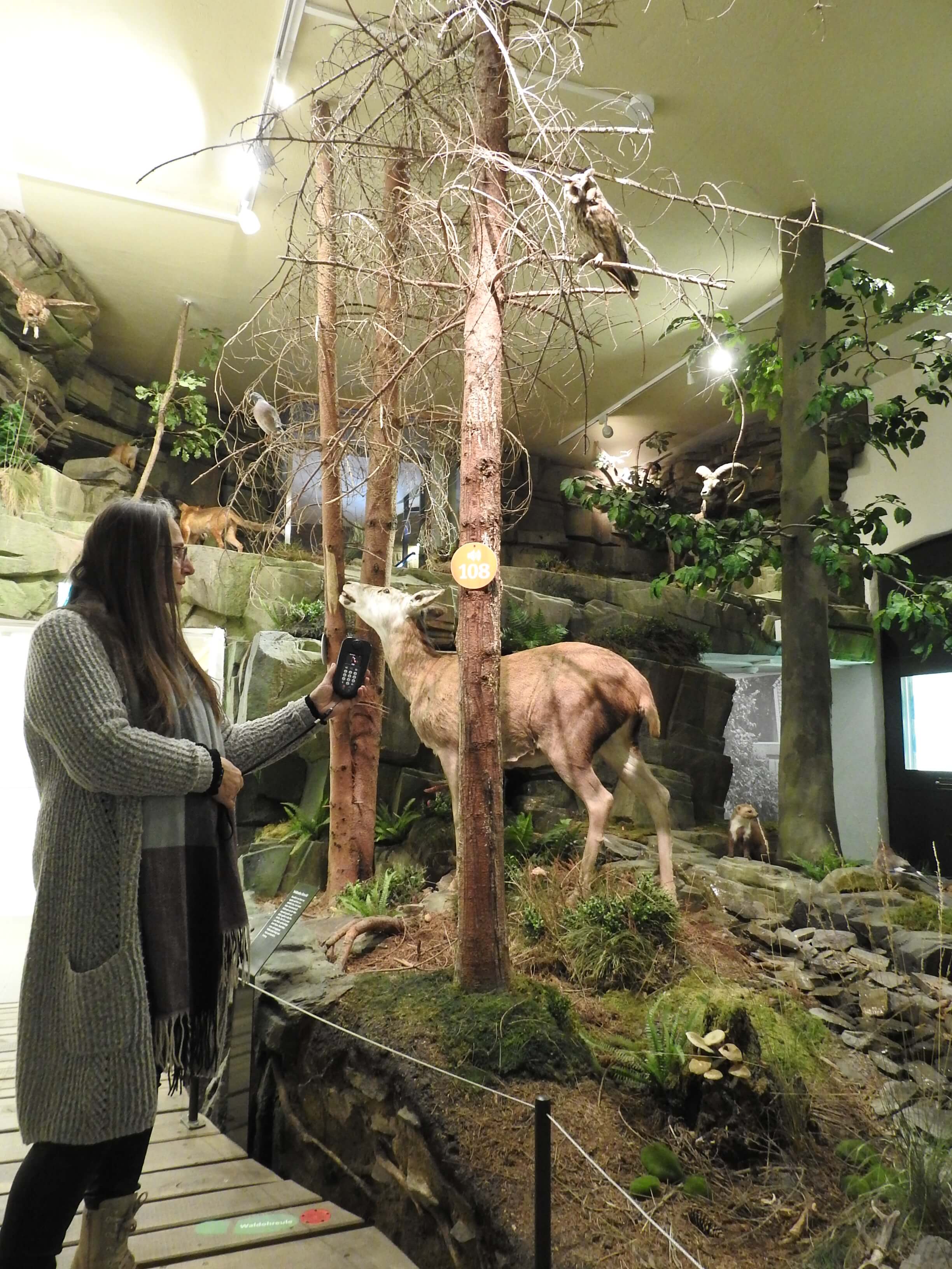 Anwendung in der Ausstellung, Foto: Bärbel Weinmann, © Museum Mensch und Jagd