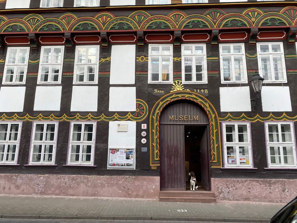 Das StadtMuseum Einbeck wird vom Museumshund Edgar bewacht. © StadtMuseumEinbeck